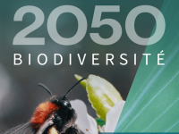 Afterres2050 Biodiversité - Forêts d’aujourd’hui et de demain : comment préserver la biodiversité et améliorer la multifonctionnalité ?