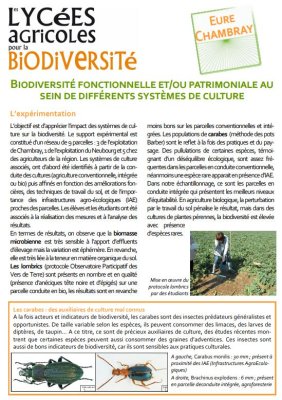 BiodiversiteFonctionnelleEtOuPatrimonialeA_capture-biodivea-chambray.jpg
