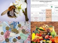 Calculateur économique du service écosystémique de pollinisation