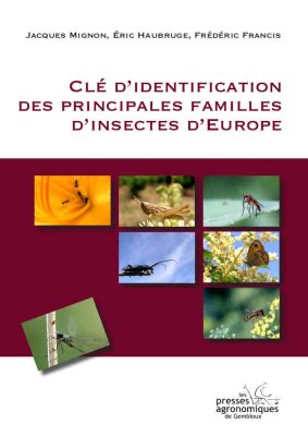 CleDIdentificationDesPrincipalesFamillesD_debut-cle-famille-insectes.jpg