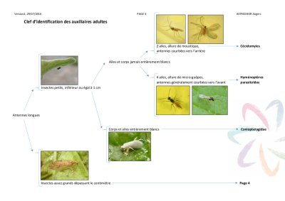 2013_Maillet_Innovations_Agronomiques.jpg
