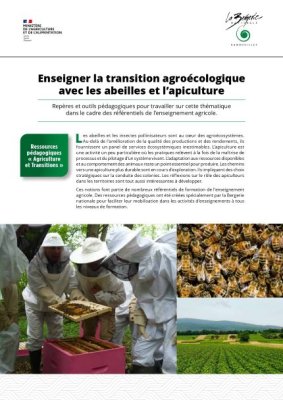 EnseignerLaTransitionAgroecologiqueAvecLes_2020-11-4_pages_abeilles_et_apiculture-1_page-0001c.jpg