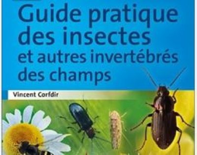 GuidePratiqueDesInsectesEtAutresInvertebr_guide-pratique-insectes.jpg