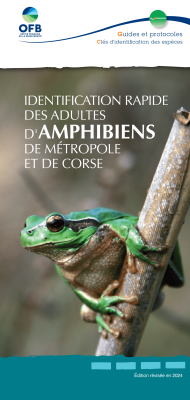 GP2024_IdentificationAmphibiens_MetropoleCorse_couv.png