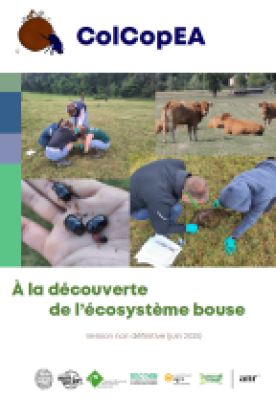 OutilS_Ecosysteme_Bouse_vignette_300_209_20251001135234_20251001135618.png