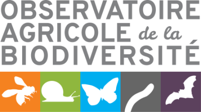 logo_OAB3637247316.png