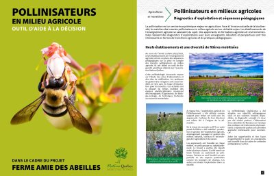 Pollinisateurs_milieu_agricole_image.jpg