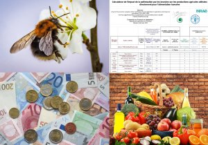 Calculateur_valeur_pollinisation.jpg